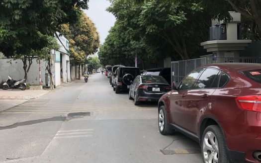 BÁN ĐẤT PHỐ HOA LÂM, ĐỨC GIANG, LONG BIÊN