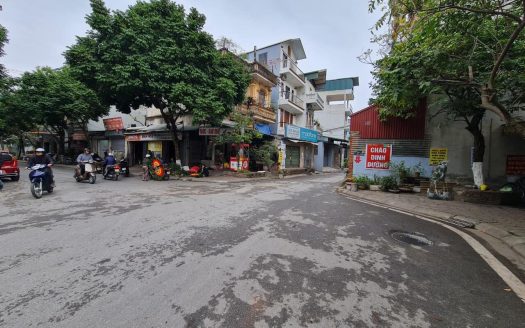 BÁN ĐẤT PHÚC LỢI LONG BIÊN