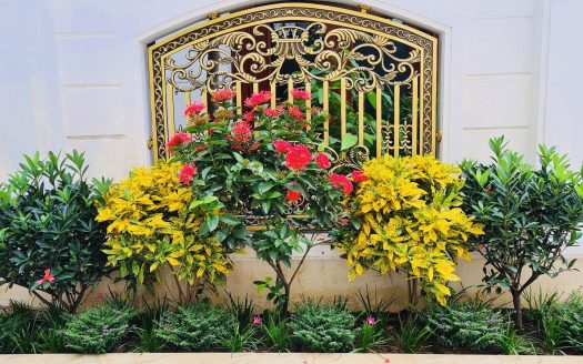 BIỆT THỰ BỒ ĐỀ LONG BIÊN